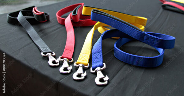 Basic Color Leash