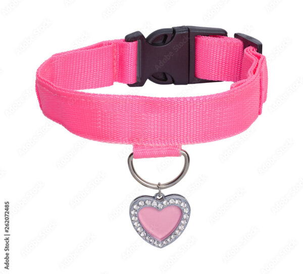 Pretty Pink Collar