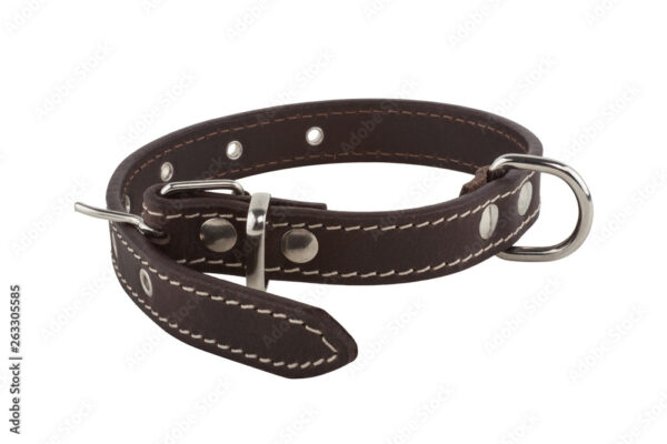 Strong Leather Dog Collar