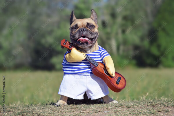 Hula Ukulele Dog Costume