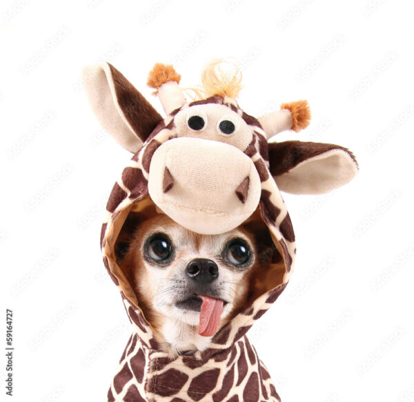 Giraffe Dog Costume