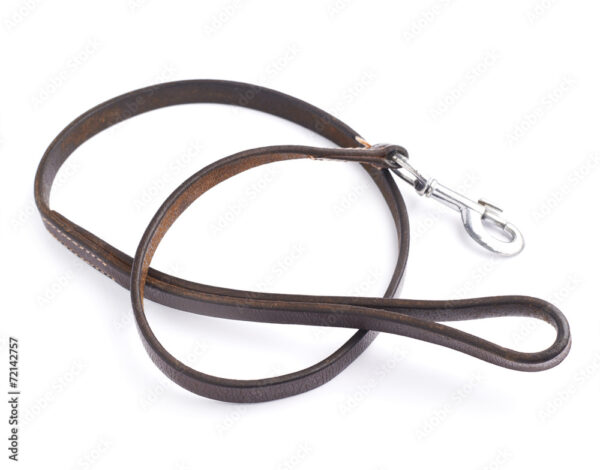 Leather Dog Leash